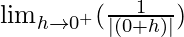 \lim_{h\to0^+}(\frac{1}{|(0+h)|})