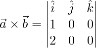 \vec{a}\times\vec{b} = \begin{vmatrix}\hat{i}&\hat{j}&\hat{k}\\1 & 0 & 0\\2 & 0 & 0\end{vmatrix}