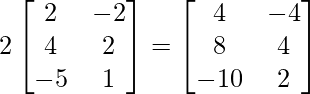 2\begin{bmatrix} 2 & -2\\ 4 & 2 \\ -5 & 1 \end{bmatrix} = \begin{bmatrix} 4 & -4\\ 8 & 4 \\ -10 & 2 \end{bmatrix}