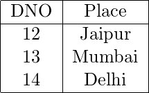   \begin{center} \begin{tabular}{ |c|c|c|c| }  \hline DNO & Place \\ \hline \112 & Jaipur \\  \113 & Mumbai \\  \114 & Delhi \\   \hline \end{tabular} \end{center}  