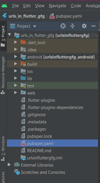 pubspec.yam