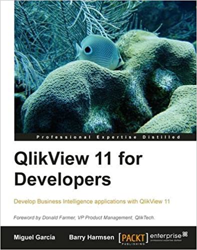 QlikView 11开发人员专用