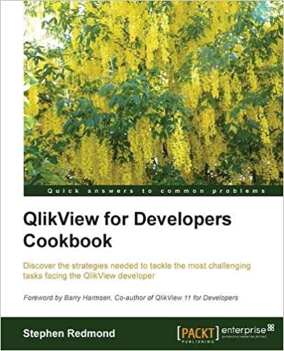 QlikView开发人员指南