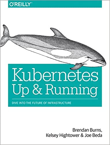 Kubernetes：启动和运行：潜入基础设施的未来