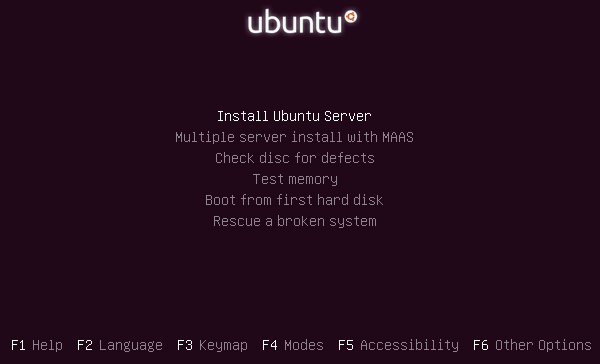 选择安装Ubuntu的选项