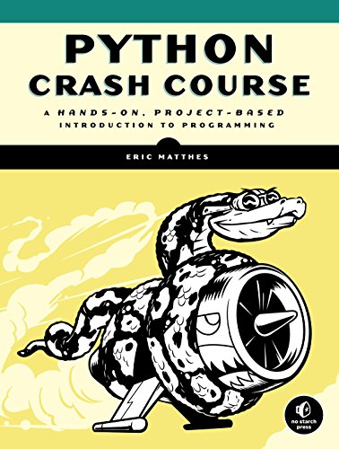 Python速成班：基于项目的动手编程入门