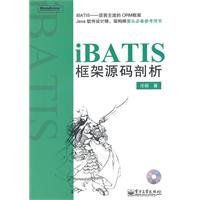 iBATIS框架源代码分析