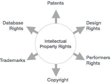知识产权类型