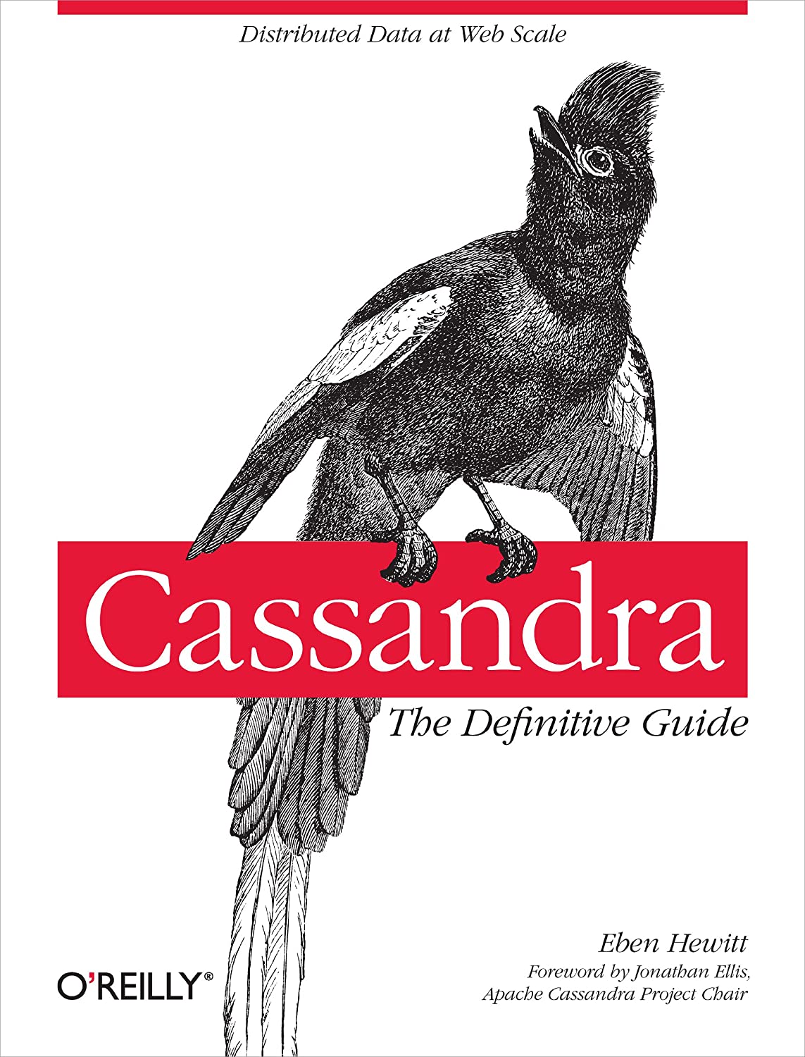 Cassandra：权威指南