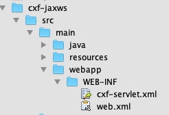 部署JAXWS应用前