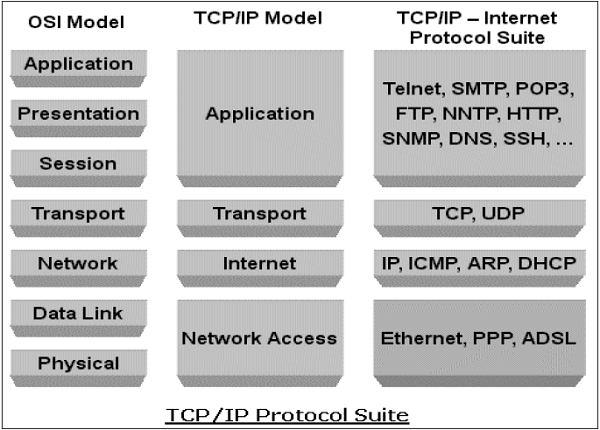 TCP / IP协议